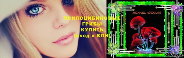 прущие крисы Тайга