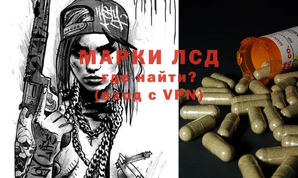 прущие крисы Тайга