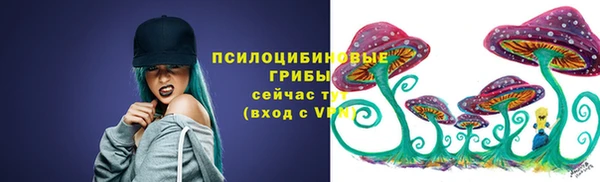 прущие крисы Тайга