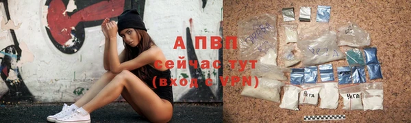 крисы Тавда