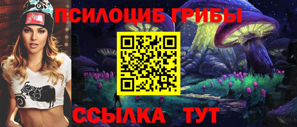 Псилоцибиновые грибы Cubensis Пятигорск