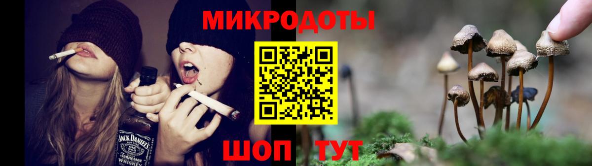Пятигорск  Псилоцибиновые грибы Psilocybine cubensis  Вход с VPN  Псилоцибиновые грибы Psilocybe 