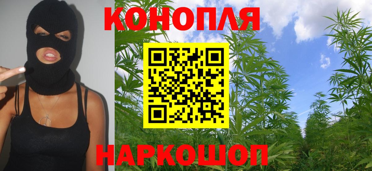 Каннабис тримм Пятигорск